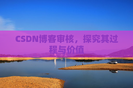 CSDN博客审核,探究其过程与价值