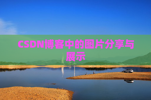 CSDN博客中的图片分享与展示